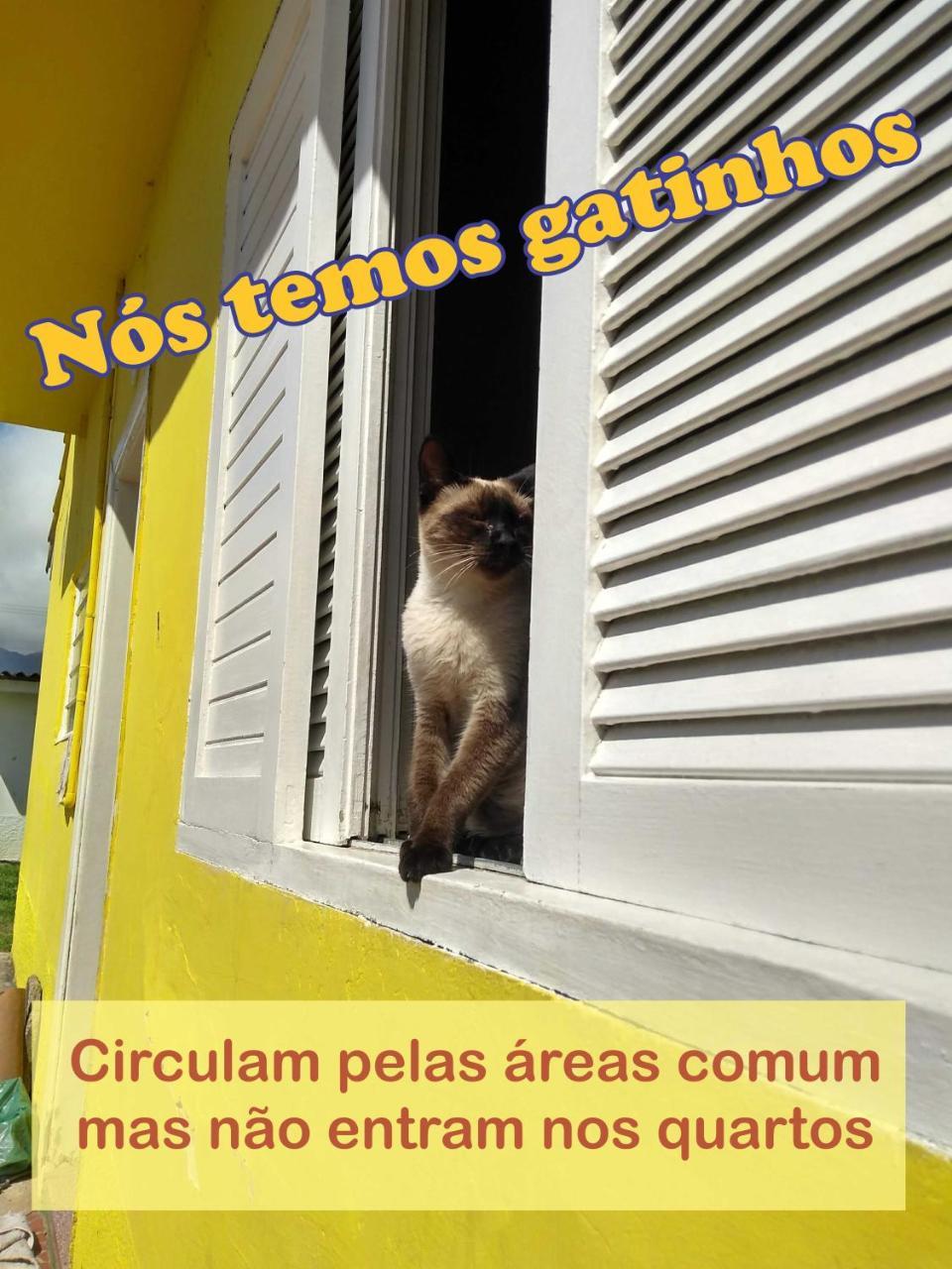 Tia Dica Quarto em Acomodações Particulares *